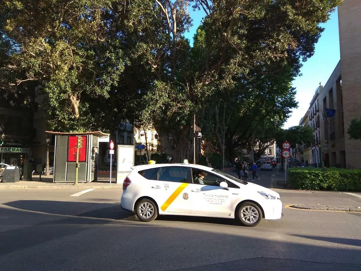 דירות סביליה Apartamento En Calle Padilla ספרד